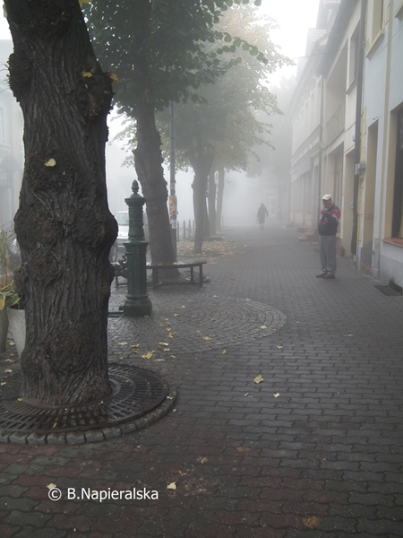 Miedzychód